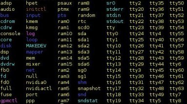 Das Verzeichnis /dev